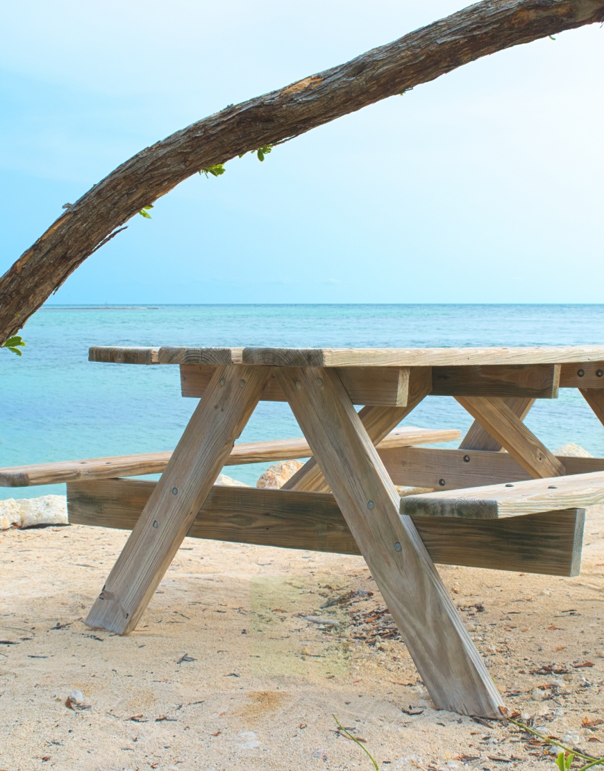 Ocean view bench