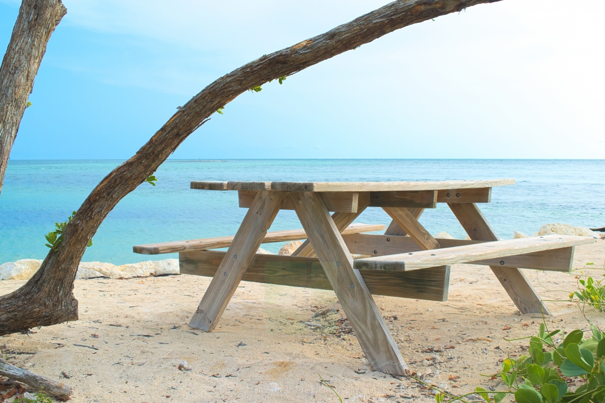Ocean view bench